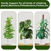 Moss Pole, 2 Pack 17 Inch Monstera Plant Support for