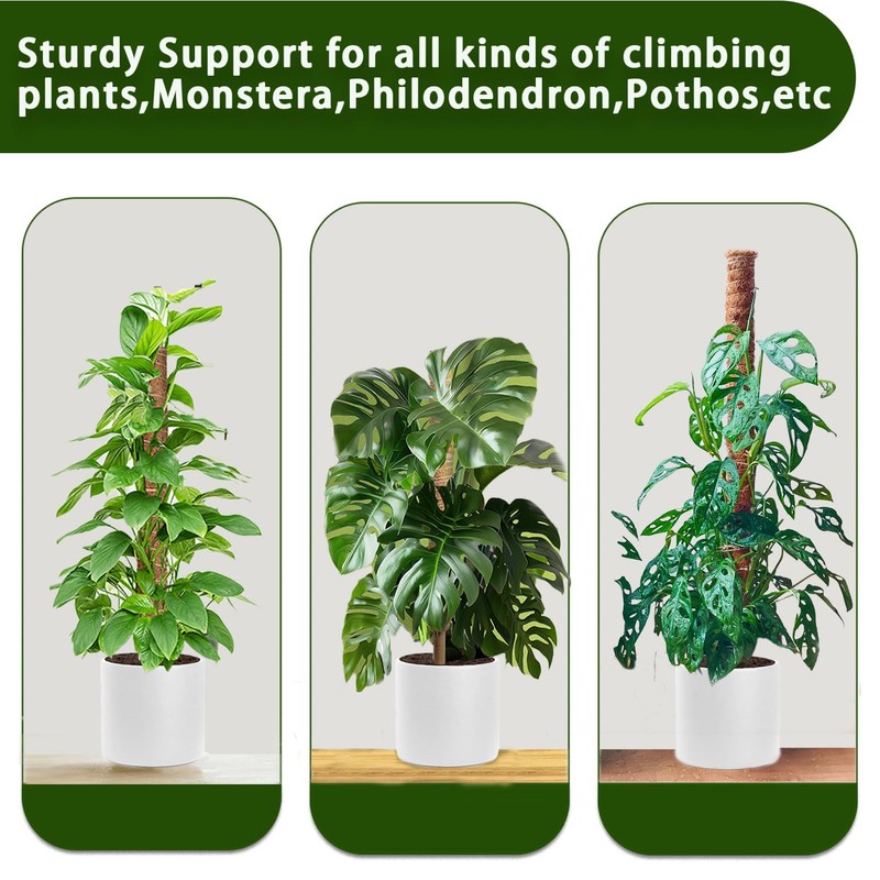 Moss Pole, 2 Pack 17 Inch Monstera Plant Support for