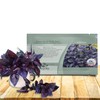 Outsidepride Dark Opal Basil Seeds – 1000 Pieces Annual Purple