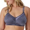 Bali Women's Double Support Spa Closure Wire-Free Bra, Private Jet