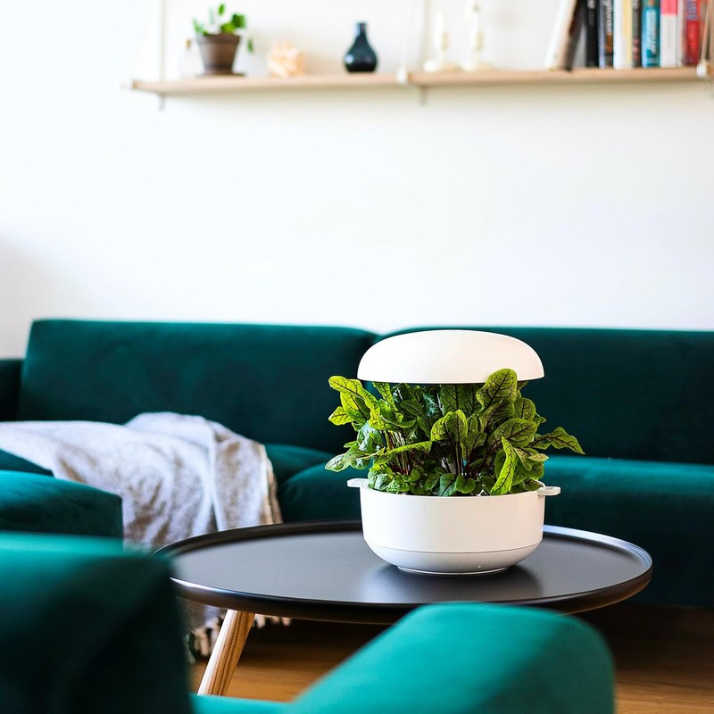 Kalapanta - Seedless Refill Compatible with Plantui Smart Garden (Pack