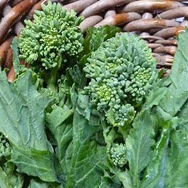 Spring Raab Rapini Broccoli - 1 OZ ~9,000 Seeds - Heirloom, Open Pollinated, Non-GMO, Farm & Vegetable Gardening & Micro Greens Seeds - AKA: Asparago