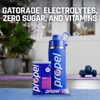 Propel Electrolyte Powder Drink Mix, Berry - Zero Sugar Hydration