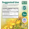 Healths Harmony St John's Wort Capsules Powerful & Potent Saint