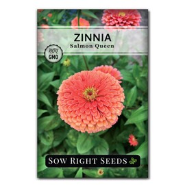 Sow Right Seeds - Salmon Queen Zinnia Seeds for Planting - Non-GMO Heirloom Packet to Plant & Grow an Outdoor Home Flower Garden - Annual, Giant Pink Blooms to Cut and Come Again (1)