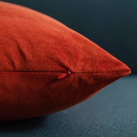 Couch Pillow Cases 20x20 Burnt Orange: 2 Pack Cozy Soft Velvet Square Throw Pillow Covers for Farmhouse Home Decor, DEZENE