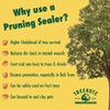 Treekote Tree Wound Dressing - 16oz Tub - Grafting, Pruning,