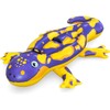 Bestway Salamandra Salamandra Salamandra 191 x 119 cm