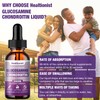 Healtionist 1 Pack Glucosamine Chondroitin MSM Liquid Drops, Extra Strength