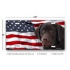 Chocolate Labrador on American Flag License Plate