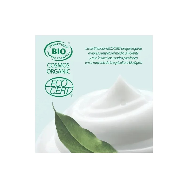 Crema Marie d'Argan de Noche Antiedad Vegana para Rostro y