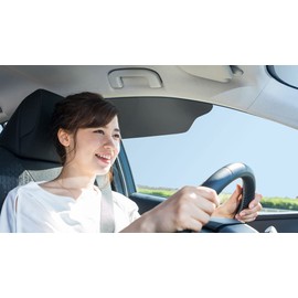 TuckVisor Limo Tint Sun Visor Sunshade Extender for Car Window Windshield Sun Shade Anti-Glare Car Sun Visor Protects from Sun Glare, Snow Blindness, UV Rays, Universal for Cars, SUVs, Trucks 1 Pack