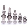 1/2-13 x 3" Stainless Steel Carriage Bolts with Hex Nuts