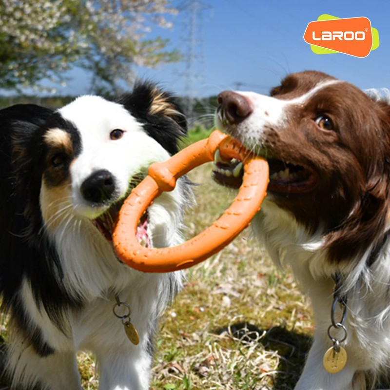 LaRoo Dog Flying Ring Toys, Floating Flying Dog Disc Toys,