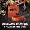 Hyland's PRID Drawing Salve Naturals (2 Pack)