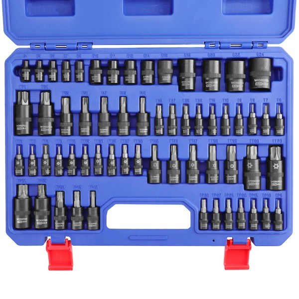 WORKPRO 60-piece Master Torx Bit Socket and External Torx Socket