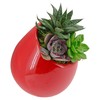 Arcadia Garden Products WP26 Small Round Wall Planter 3-Pack-Red
