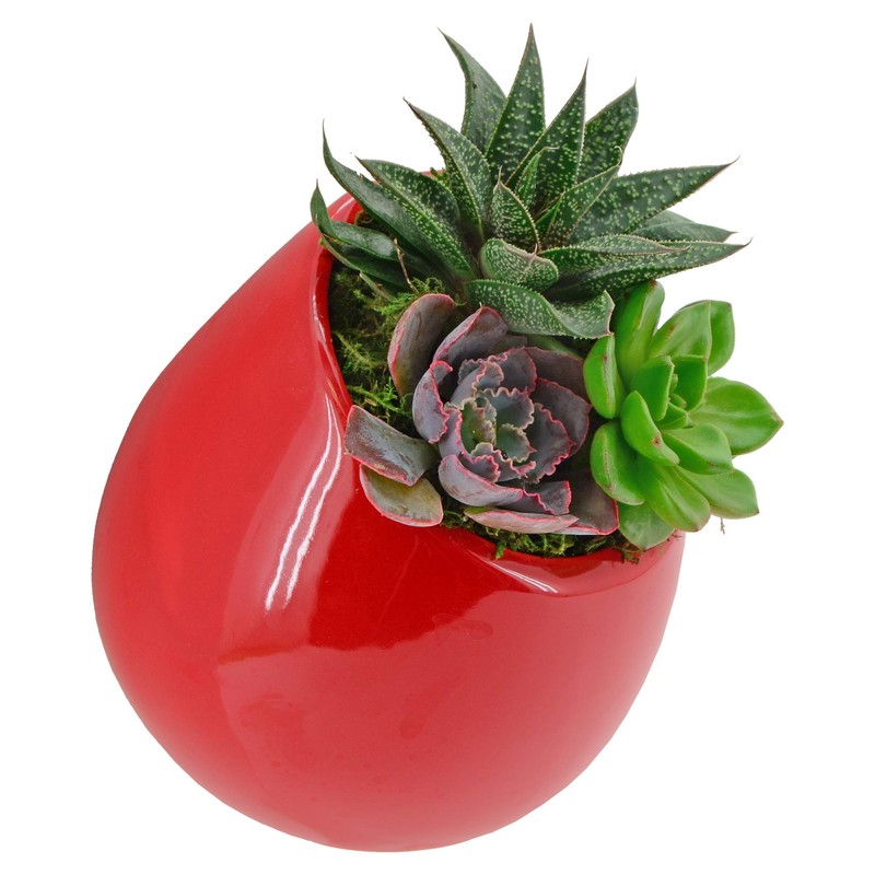 Arcadia Garden Products WP26 Small Round Wall Planter 3-Pack-Red