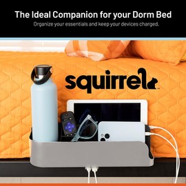 squirrel The Bedside Perch by Squirrel - Color: Grey