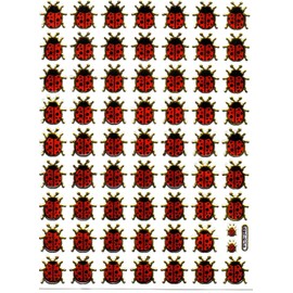 May Beetle Bug Animals Coloured Sticker Set (63-Pieces 1 Sheet 135 mm x 100 mm Sticker Craft Party Metallic Look