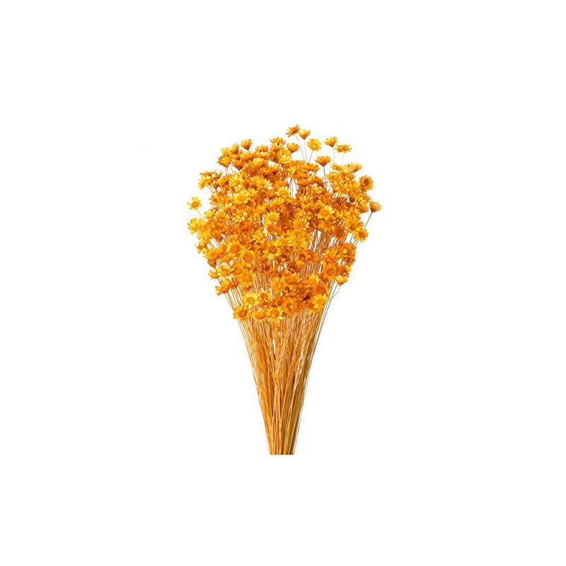 Earth Farms Dry Flower suta-hurawa-・burossamu Insert (G) Orange do30191 – 351 