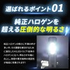 Takenous Truck Bastard Takemura Shokai 24V H1 LED High Beam