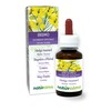 Weg-Rauke or Singer's Herb (Sisymbrium Officinale) Flowering Tips Alcohol-Free Mother