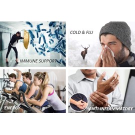 Immunia SYNERGY - Elderberry Supplement for Immune System Support - Powerful Natural Antioxidant. POLYPHENOLS: Anthocyanins, Quercetins. Elderberries from Canada. (3 bottles)