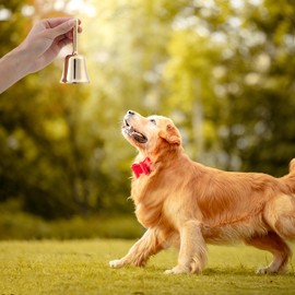 Homelavie Super Loud Solid Brass Small Hand Call Bell for Ringing at Wedding, Hand Bells for Seniors Bedside, Teacher Classroom Bell, Dinner Bell, Tibetan Bells, Meditation Bell (Large)