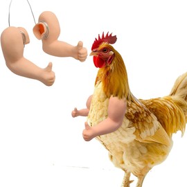 HKYLRAT Chicken arms Including Strong Muscle arms and Thumb up arms to Put on Chicks for Parties, Photoshoots and Pranks (Thumb up)