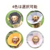 Komii Elizabeth Collar for Dogs and Cats, Extra Large, Lightweight,