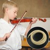 DaKuan 4/4 Full Set Violin Strings + 2 Bow Hair