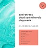 Freeman Dead Sea Minerals Facial Anti-Stress Mask, 6 Oz