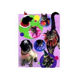 McCall's 5215 Sewing Pattern Pet Costumes Hats and Collars