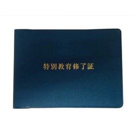 Unit Special Education Certificate