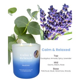 M&SENSE Eucalyptus Lavender Aromatherapy Candle 14.1oz 80 Hours Burn Highly Scented Natural Soy Wax Non Toxic Candle for Women Men, Spiritual Healing Gifts for Achieving Calmness and Relaxation