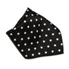 Vesuvio Napoli BLACK with WHITE Polka Dots Handkerchief Pocket Square