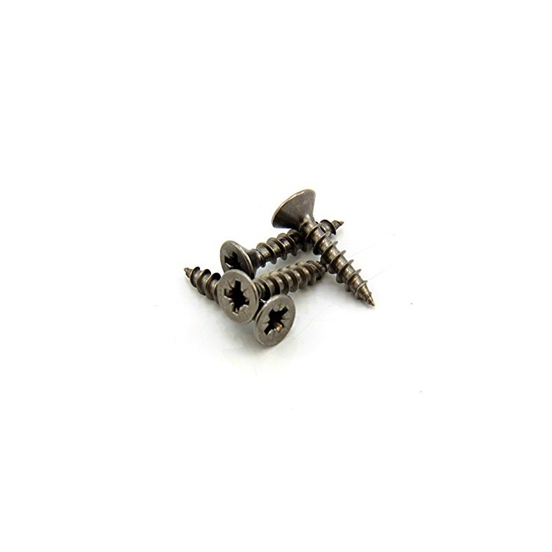 Stainless Steel Screws for Crafts, DIY, Construction, and Countersunk Magnets