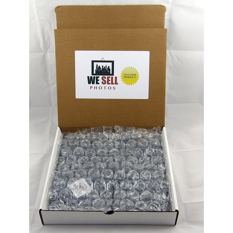 wesellphotos Dalai Lama 8x10 Framed Photo