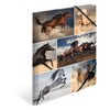 HERMA Elastic Folder Animals with Horses Motif, A4, Sturdy Cardboard,