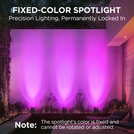 InnoGear Solar Lights Outdoor Waterproof Solar Garden Light for Outside Yard Landscape Lighting Pathway Spot Lights Spotlight Wall Light Auto On/Off, Pack of 2 (Violet Purple Light)