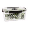 Oggi Produce Containers for Fridge with Time Tracking - Ideal