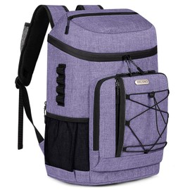 Backpack Coolers Insulated Leak Proof 30 Cans with Reusable Ice Packs, 2 Insulated Compartments Cooler Bags Portable Lightweight Beach Travel Camping Lunch Backpack for Men and Women