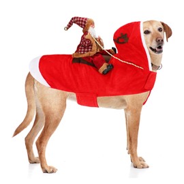 BWOGUE Santa Dog Costume Christmas Pet Clothes Santa Claus Riding Pet Cosplay Costumes Party Dressing up Dogs Cats Outfit for Small Medium Large Dogs Cats