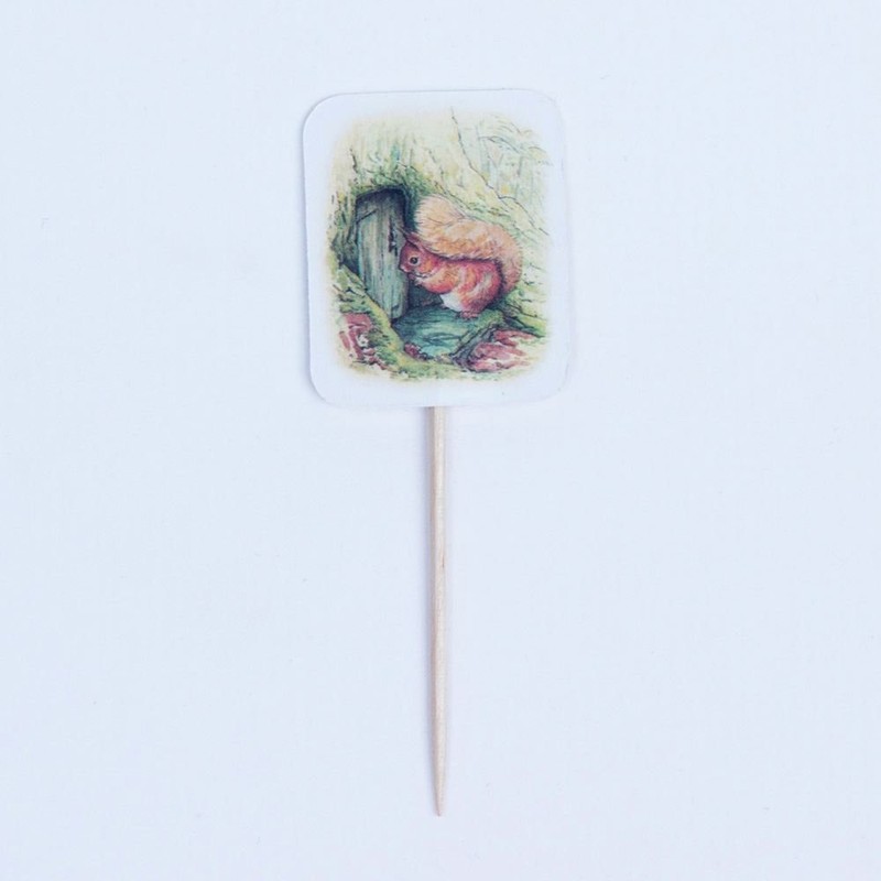 Luck and Luck Peter Rabbit Party Picks Canape Flags x