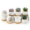 ZOUTOG Succulent Pots 3.1 Inch,8 Pack Succulent Planters,Small Pots for