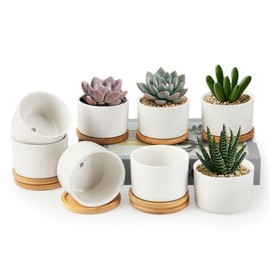 ZOUTOG Succulent Pots 3.1 Inch,8 Pack Succulent Planters,Small Pots for Plants with Drainage and Tray,White Ceramic Flower Planters for Indoor Plants,Home,Office,Desk