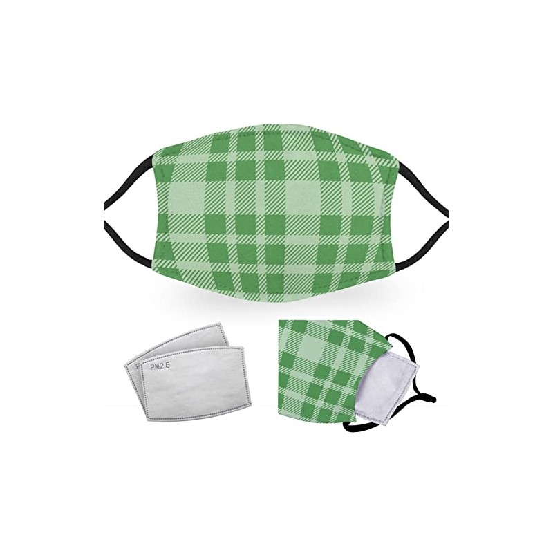 Green Tartan - Reusable Adult Face Masks - 2 Filters