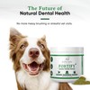 Alpha Dog Nutrition Dog Teeth Cleaning Powder - Fortify Dental