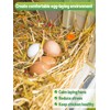 14 Oz Chicken Nesting Herbs - Natural Nesting Box Feed